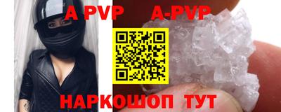кокс Кингисепп