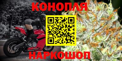 кокс Кингисепп