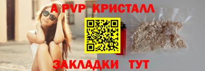 кокс Кингисепп