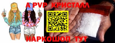 кокс Кингисепп