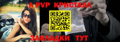 кокс Кингисепп