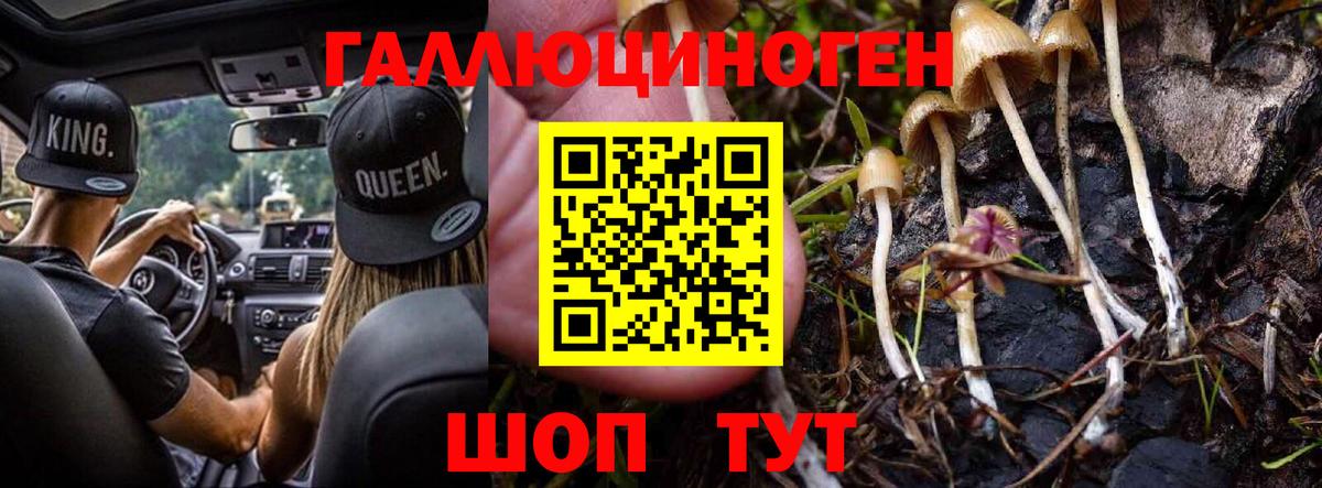 Галлюциногенные грибы Psilocybe  Вход с VPN  Дюртюли 
